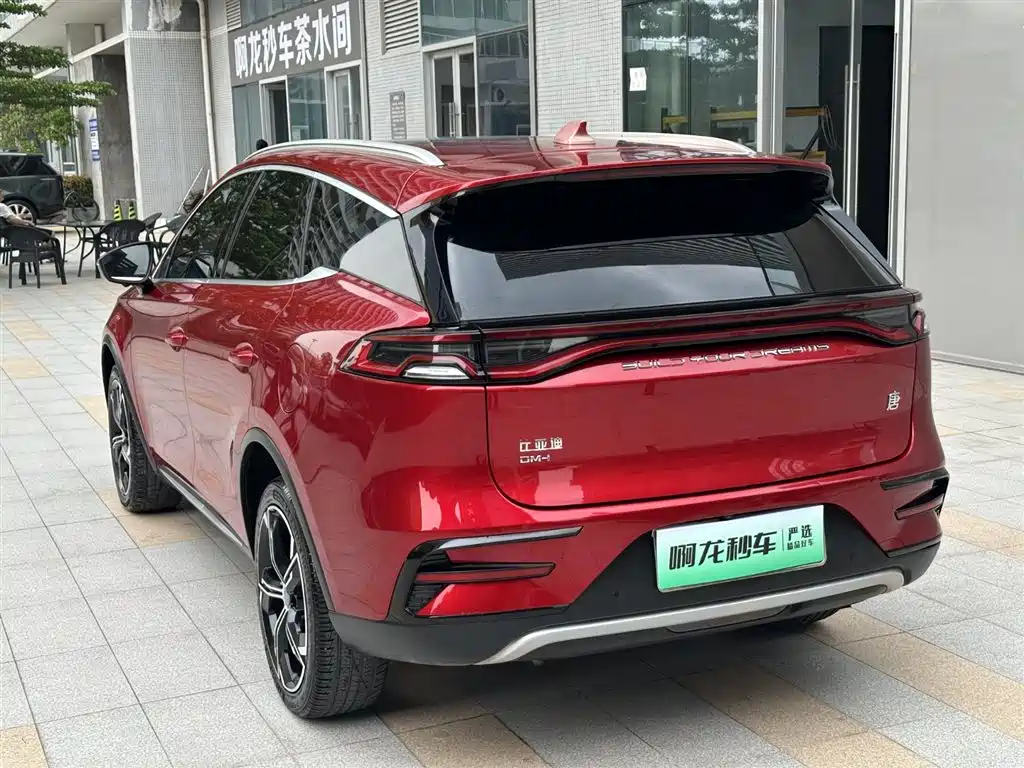 BYD Tang New Energy 2021 — фото 22
