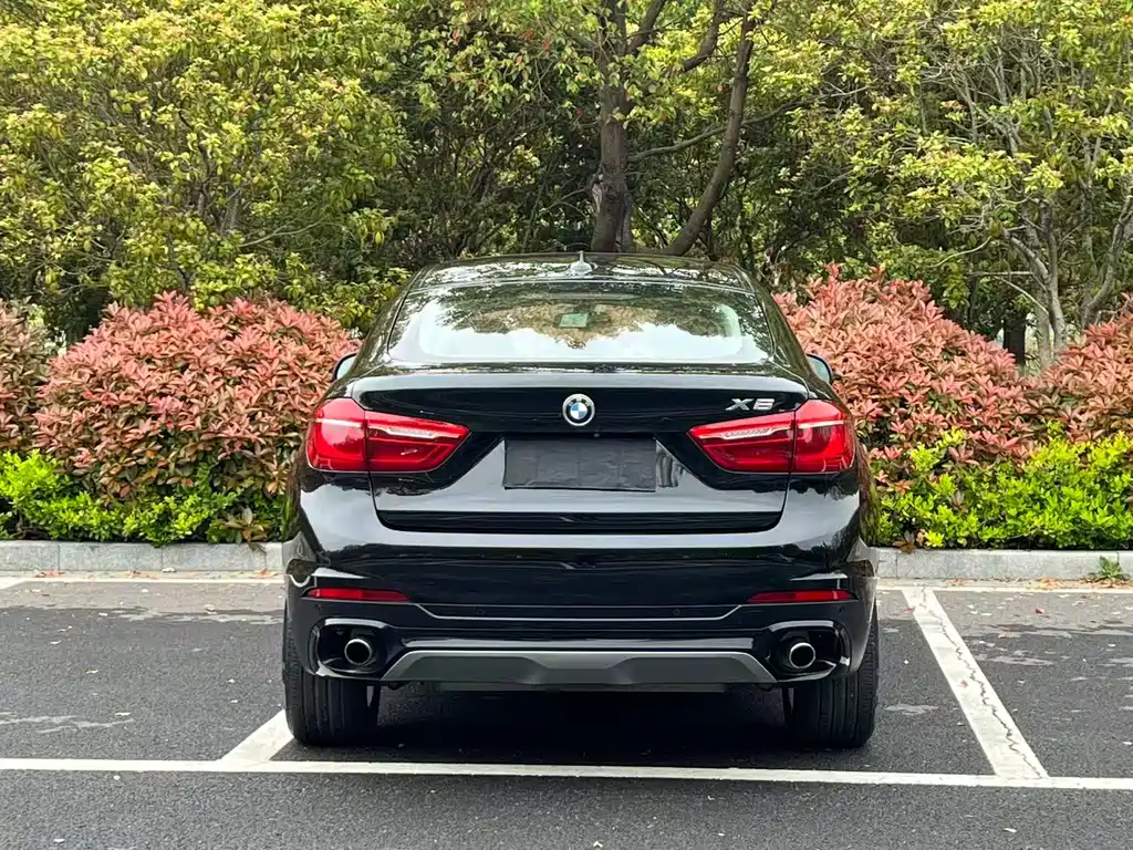 BMW X6 2017 — фото 17