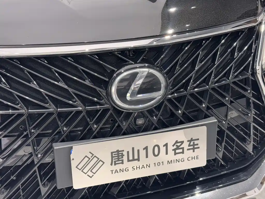 Lexus LX 2017 — фото 10