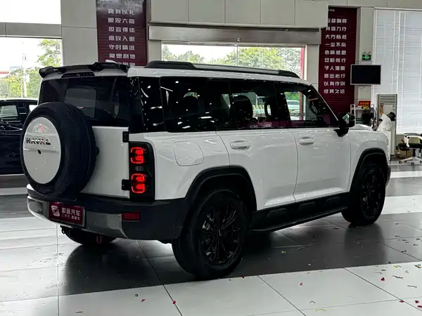 Haval Raptors New Energy 2024
