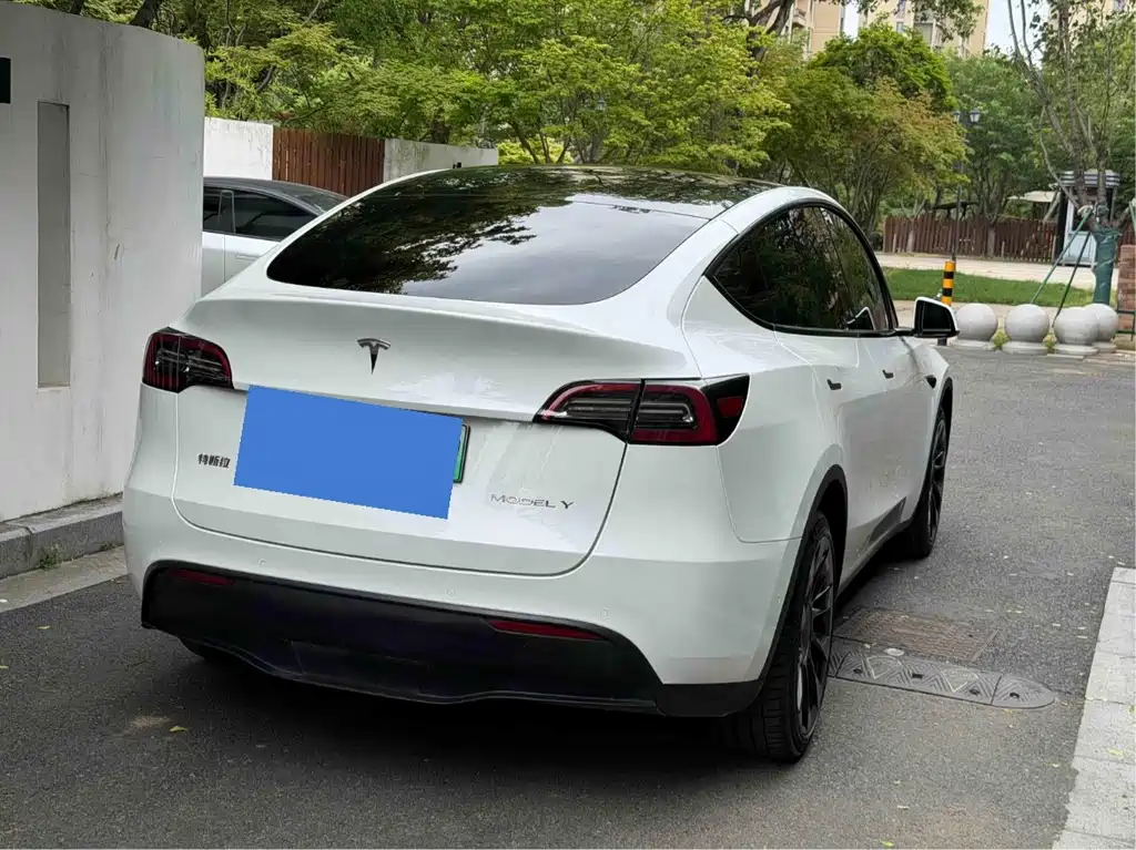 Tesla Model Y 2021 — фото 9