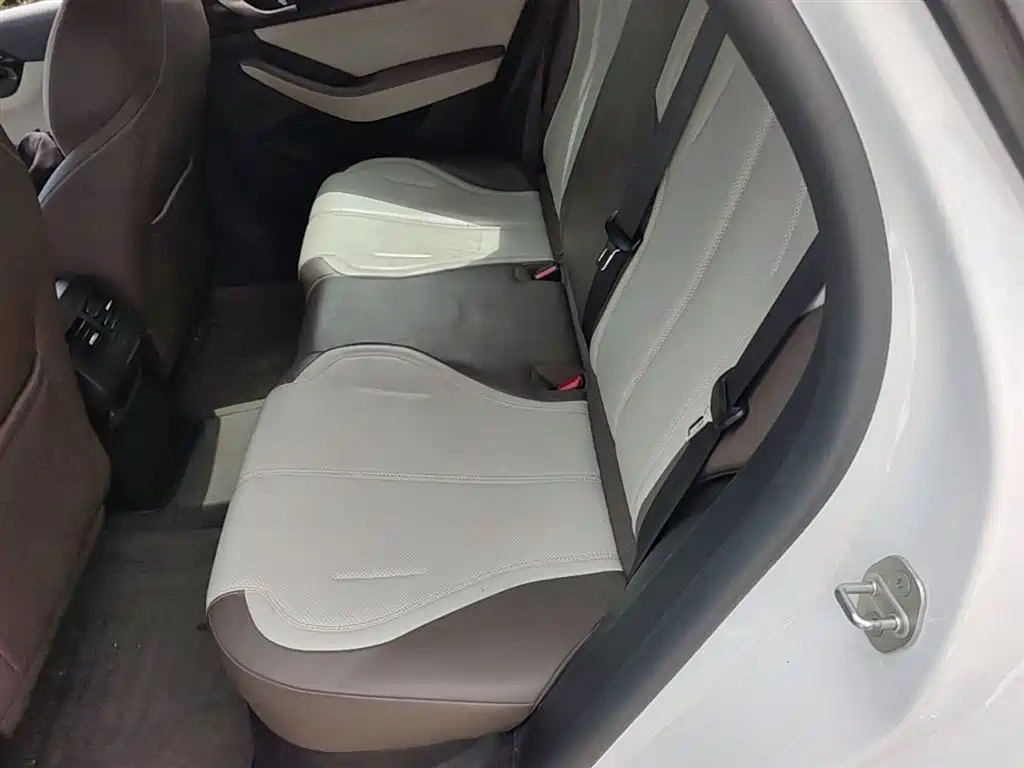 BYD Qin PLUS 2024 — фото 15