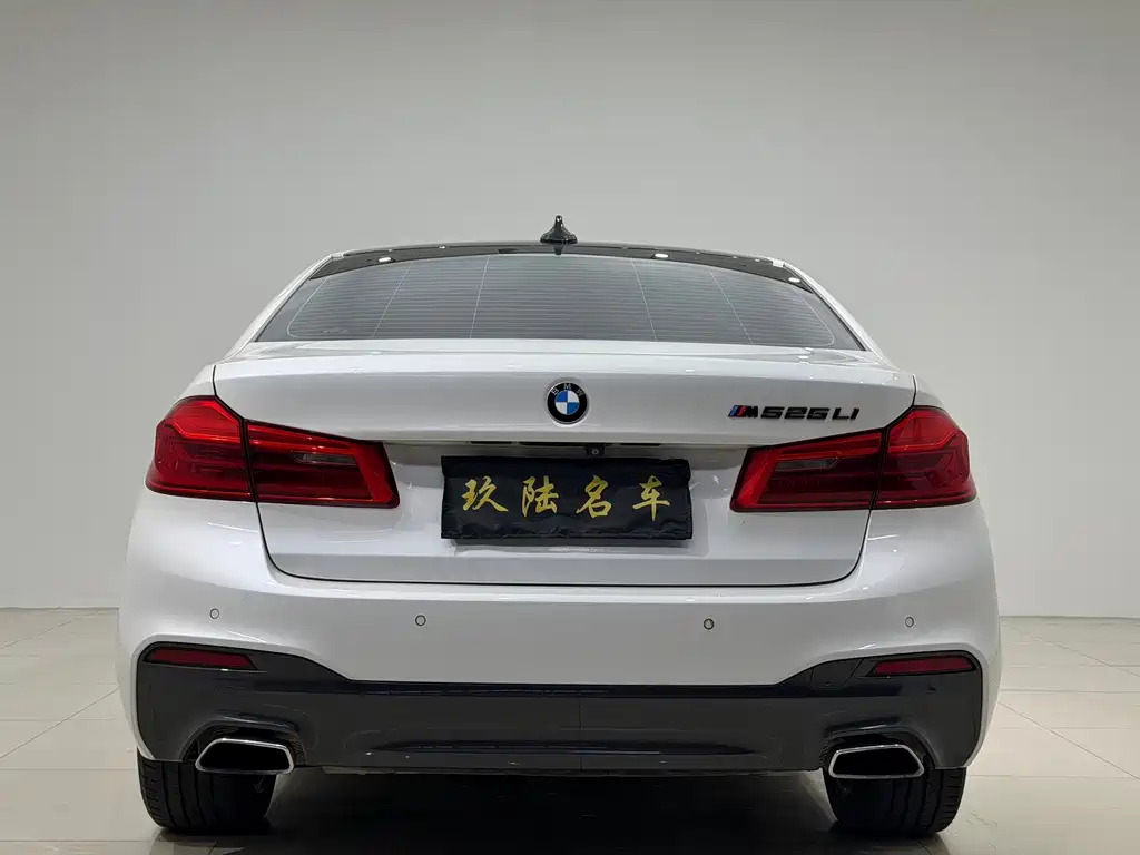 BMW 5 Series 2020 — фото 15