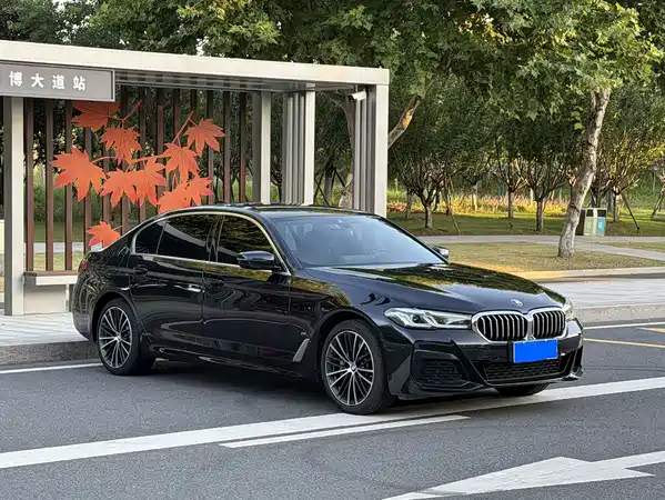 BMW 5 Series 2022
