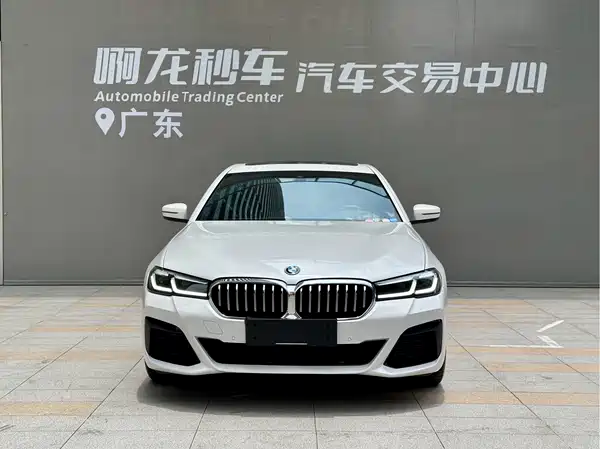 BMW 5 Series New Energy 2022