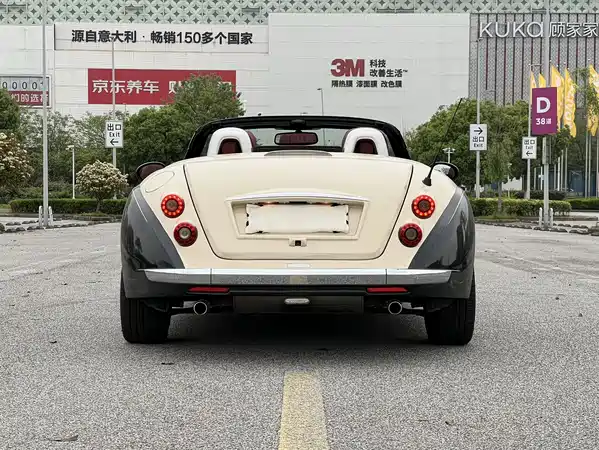 Mitsuoka Queen 2010
