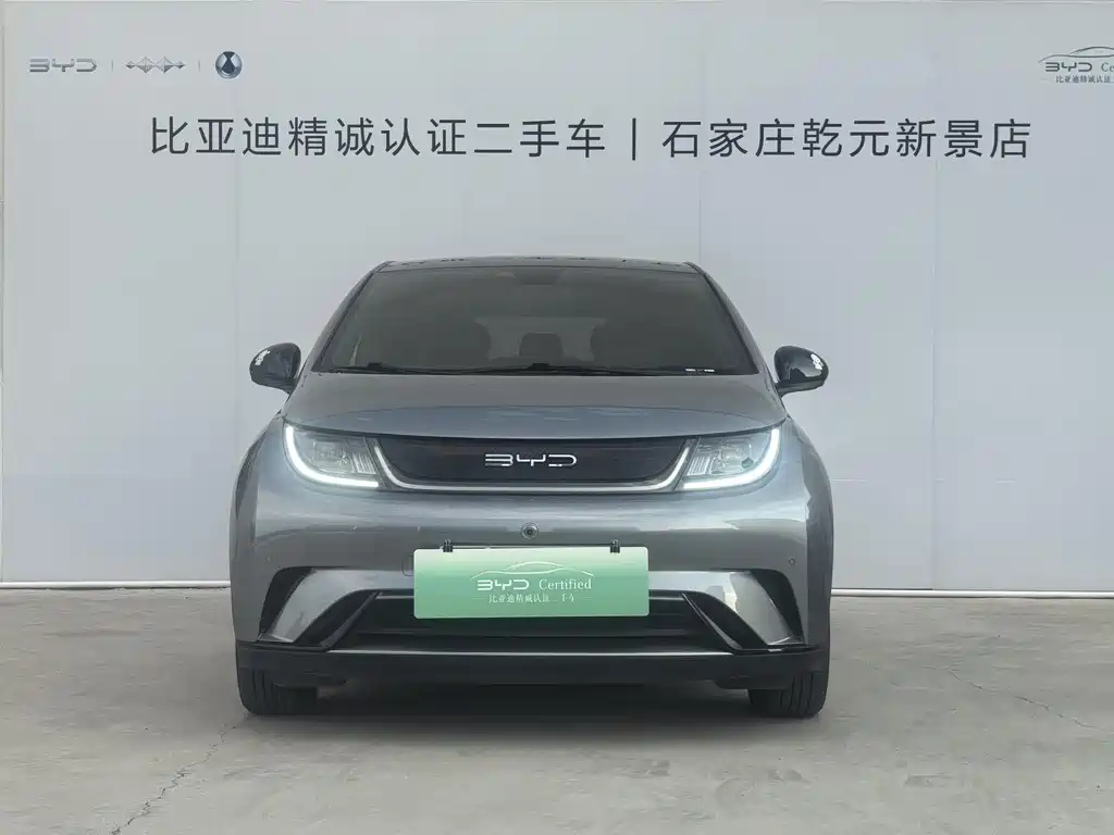 BYD Dolphin 2023