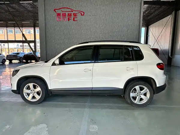 Volkswagen Tiguan 2013