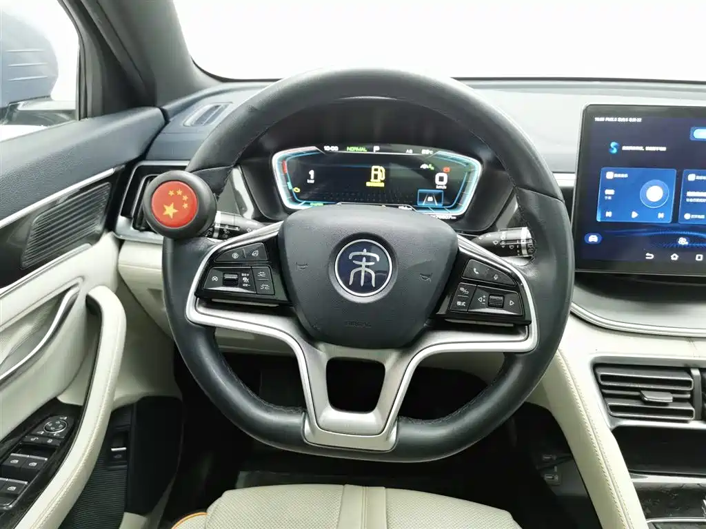 BYD PLUS New Energy 2023 — фото 11