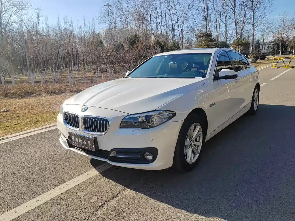 BMW 5 Series 2017 — фото 1