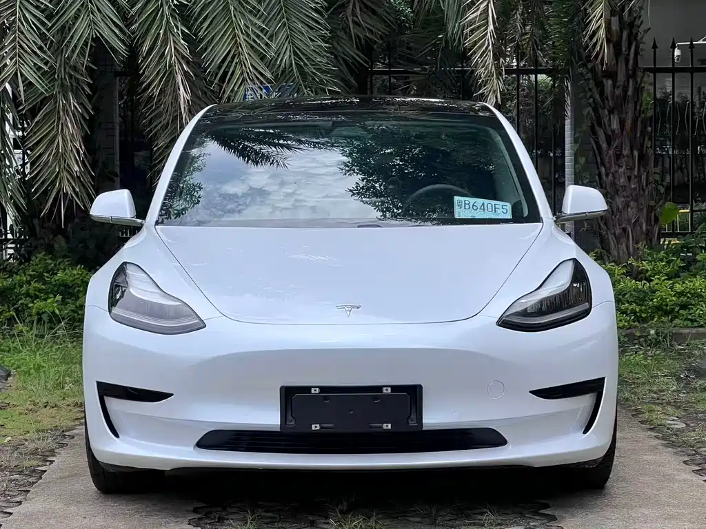 Tesla Model 3 2019