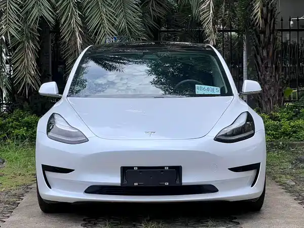 Tesla Model 3 2019