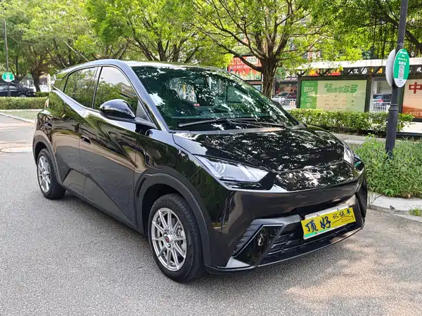 BYD Seagull 2024