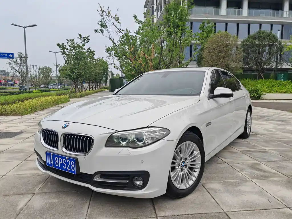 BMW 5 Series 2015