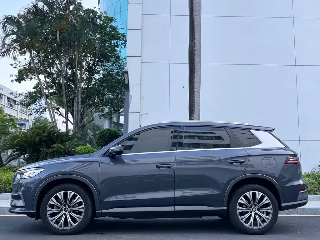 BYD Pro New Energy 2020 — фото 3