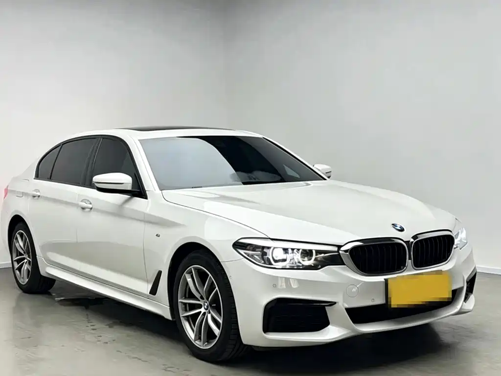 BMW 5 Series 2019