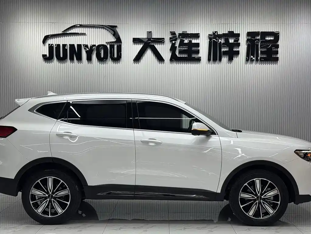 Haval H6 2023 — фото 8