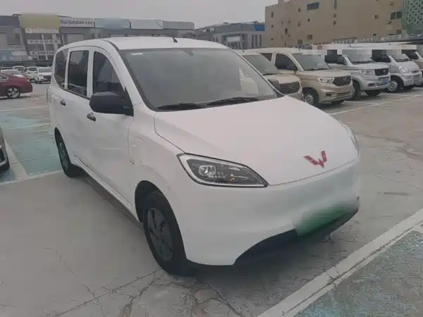 Wuling Hongguang New Energy 2024