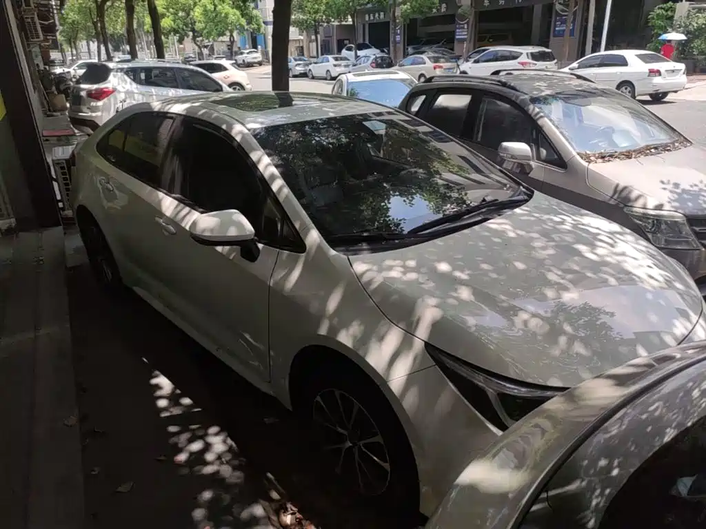 Toyota Levin 2024