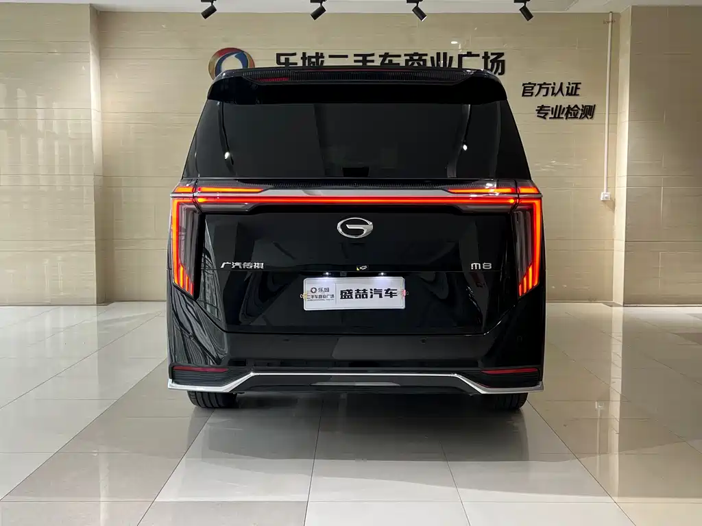 GAC Motor Trumpchi M8 2024 — фото 21
