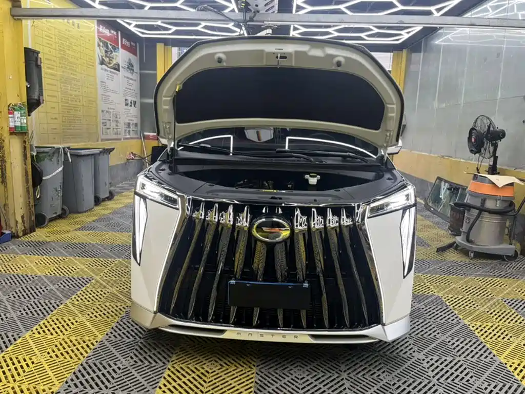 GAC Motor Trumpchi M8 2024 — фото 20