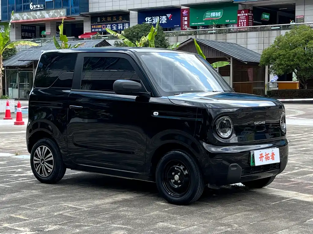 Geely Galaxy Panda 2024 — фото 3