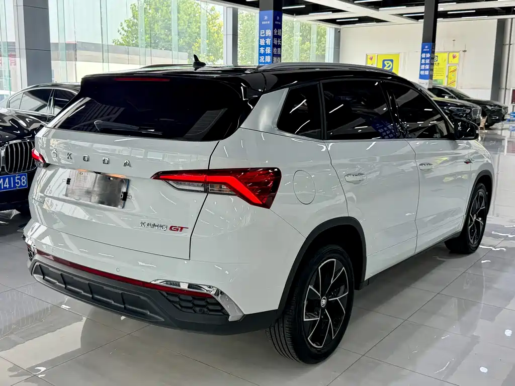 Skoda Kamiq 2023 — фото 11