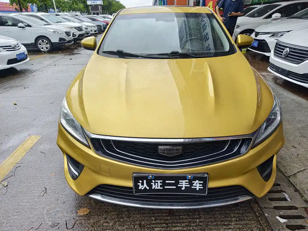 Geely Binrui 2018