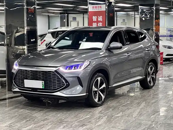 BYD Song PLUS New Energy 2021