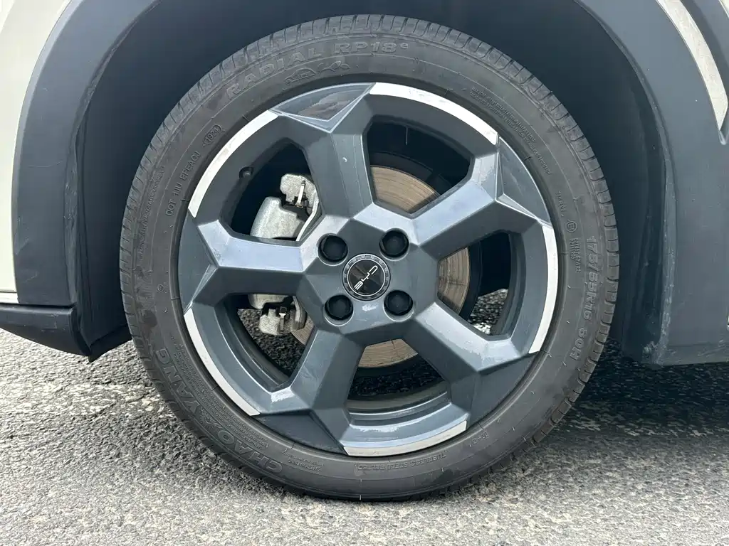BYD Seagull 2024