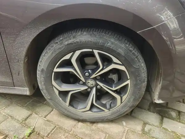 MG5 2021