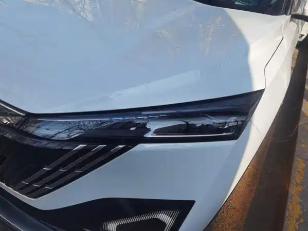 Dongfeng Haohan 2023