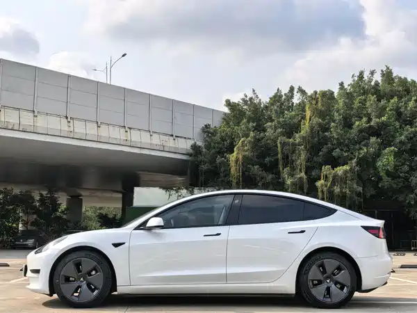 Tesla Model 3 2021