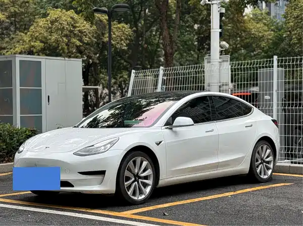 Tesla Model 3 2020