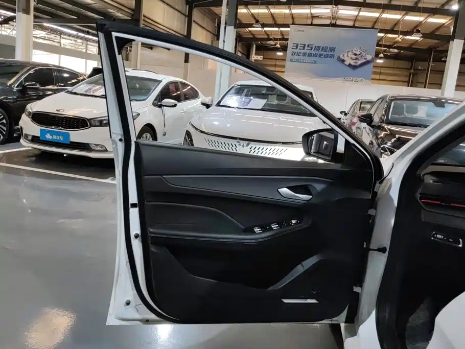 Geely Binrui 2023