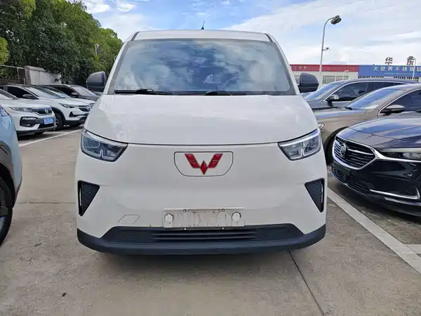 Wuling Yangguang 2024