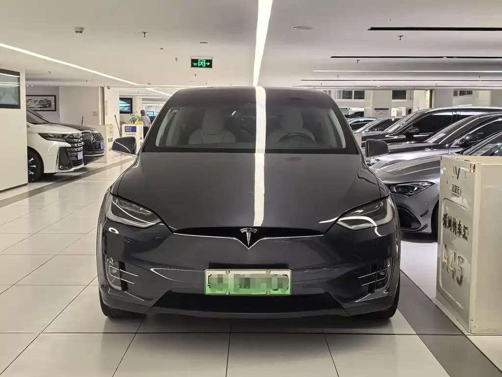 Tesla Model X 2019 — фото 2