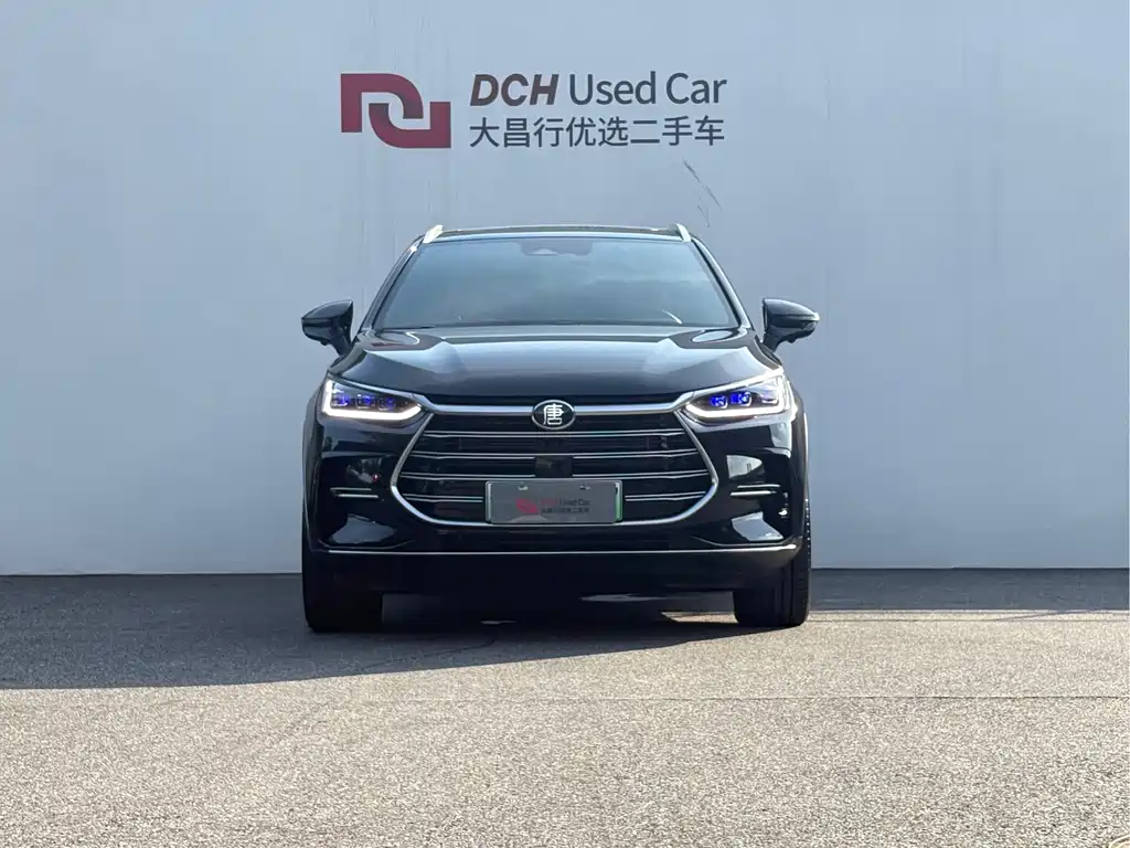 BYD Tang New Energy 2023 — фото 2