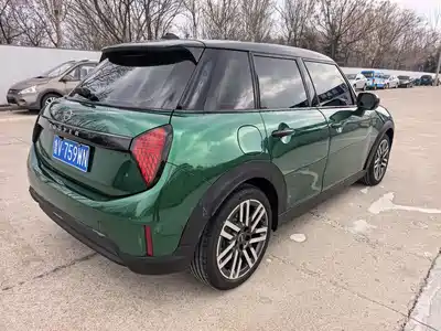 MINI MINI 2025