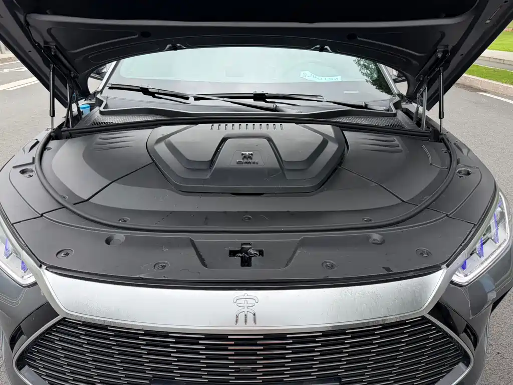 BYD PLUS New Energy 2023 — фото 10