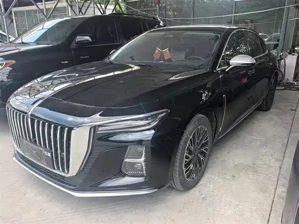 Hongqi H5 2024