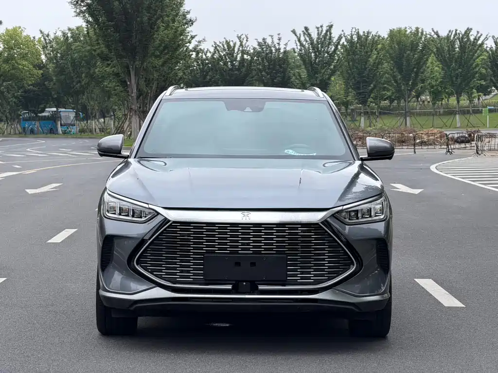 BYD PLUS New Energy 2023 — фото 2