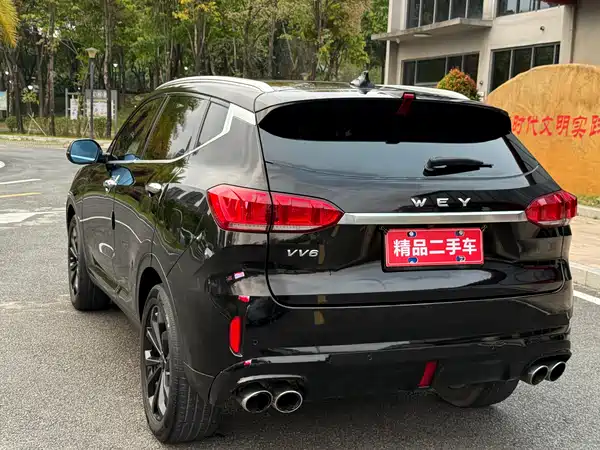 Wey VV6 2018