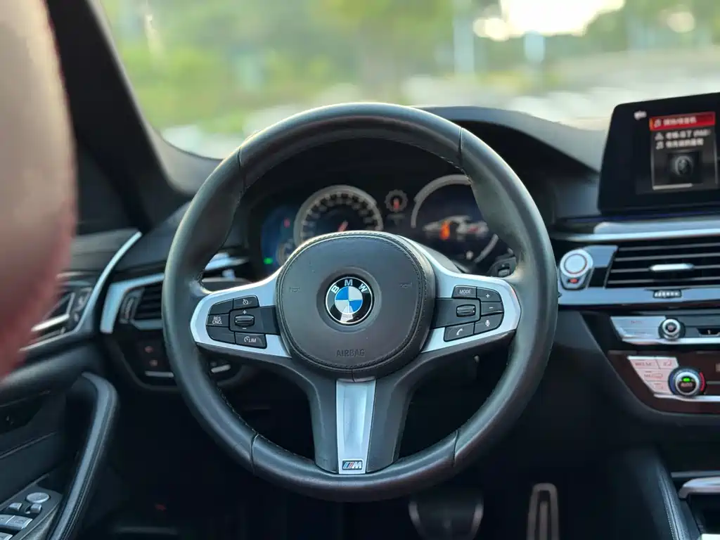 BMW 5 Series 2018 — фото 8