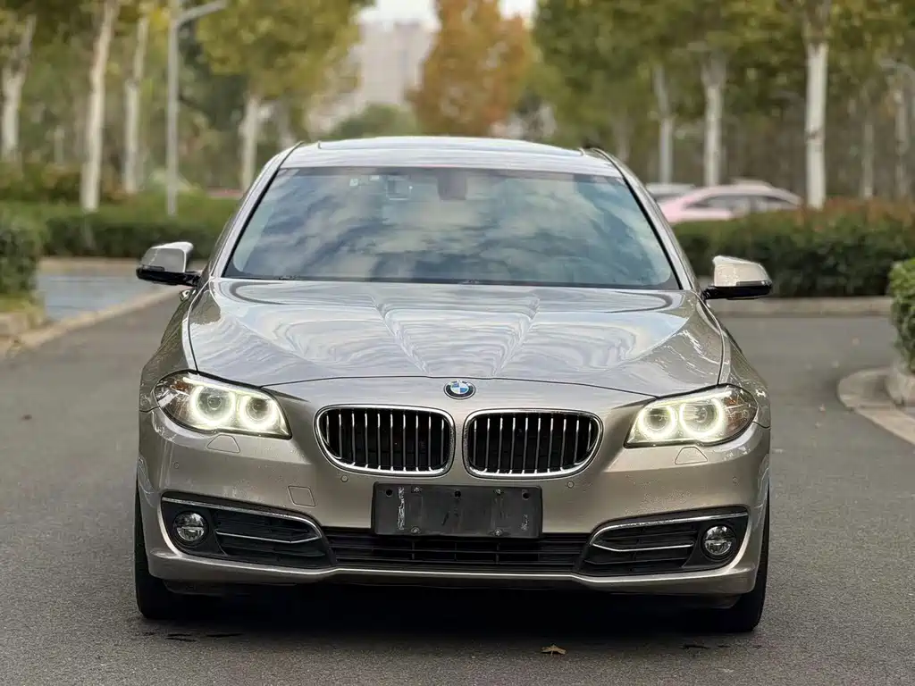 BMW 5 Series 2017 — фото 2