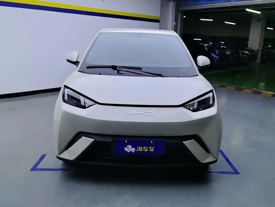 BYD Seagull 2024