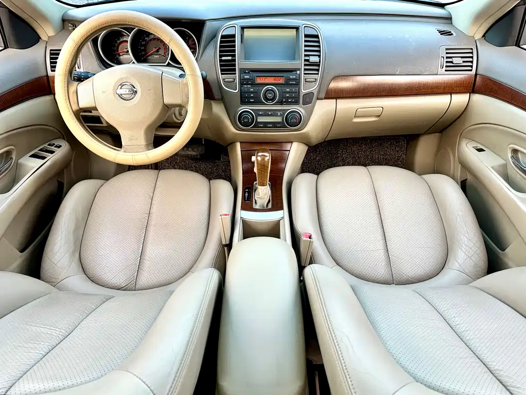 Nissan Sylphy 2010 — фото 35
