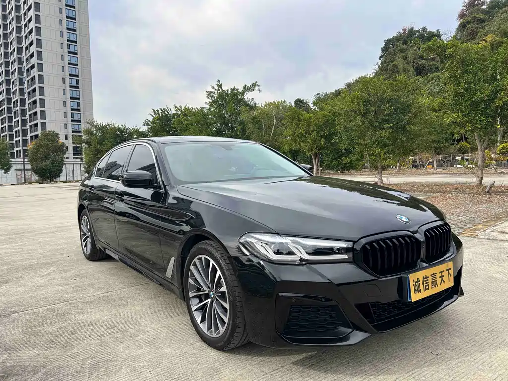 BMW 5 Series 2019