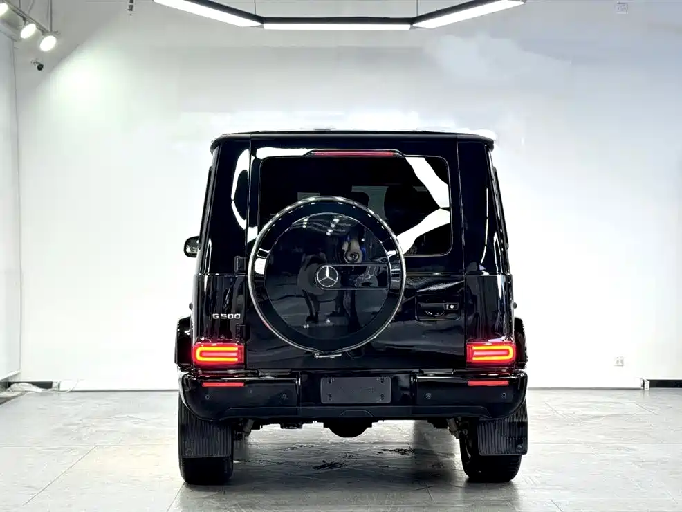 Mercedes-Benz G-Class 2018 — фото 6