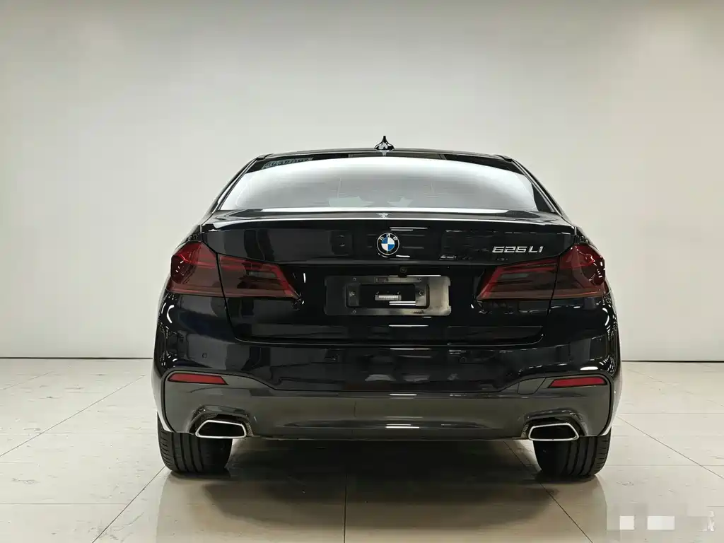 BMW 5 Series 2020 — фото 20
